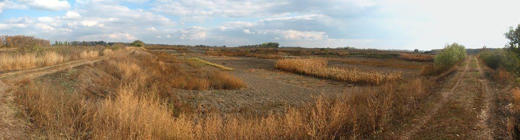 Карлівка з panoramio.com - Карловка