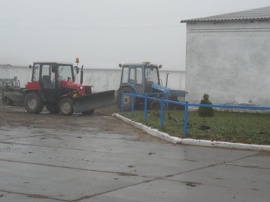 Жовтневе з panoramio.com - Жовтневое