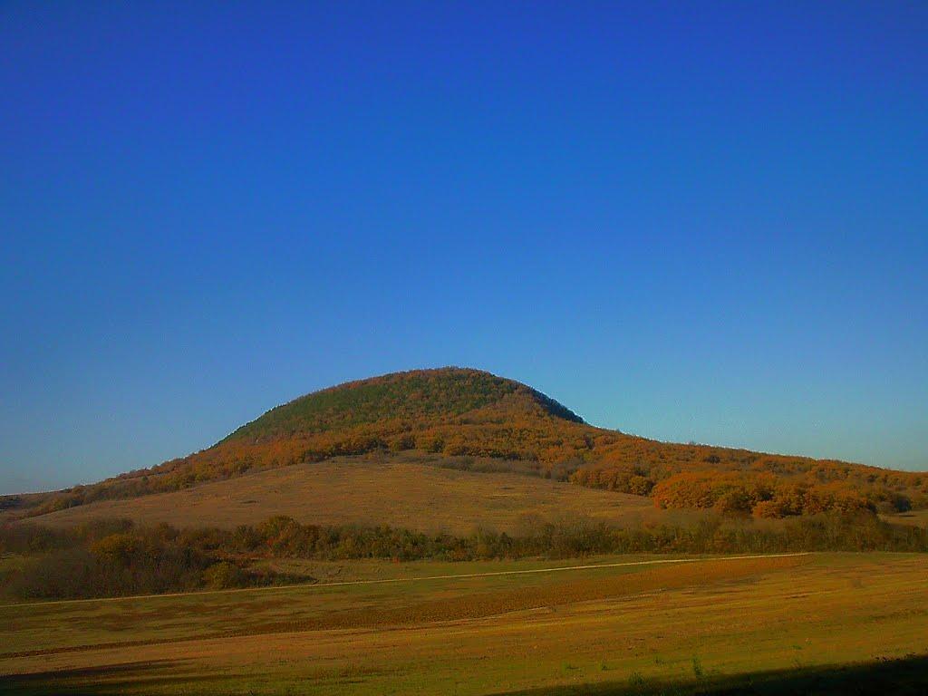 Високе з panoramio.com - Высокое