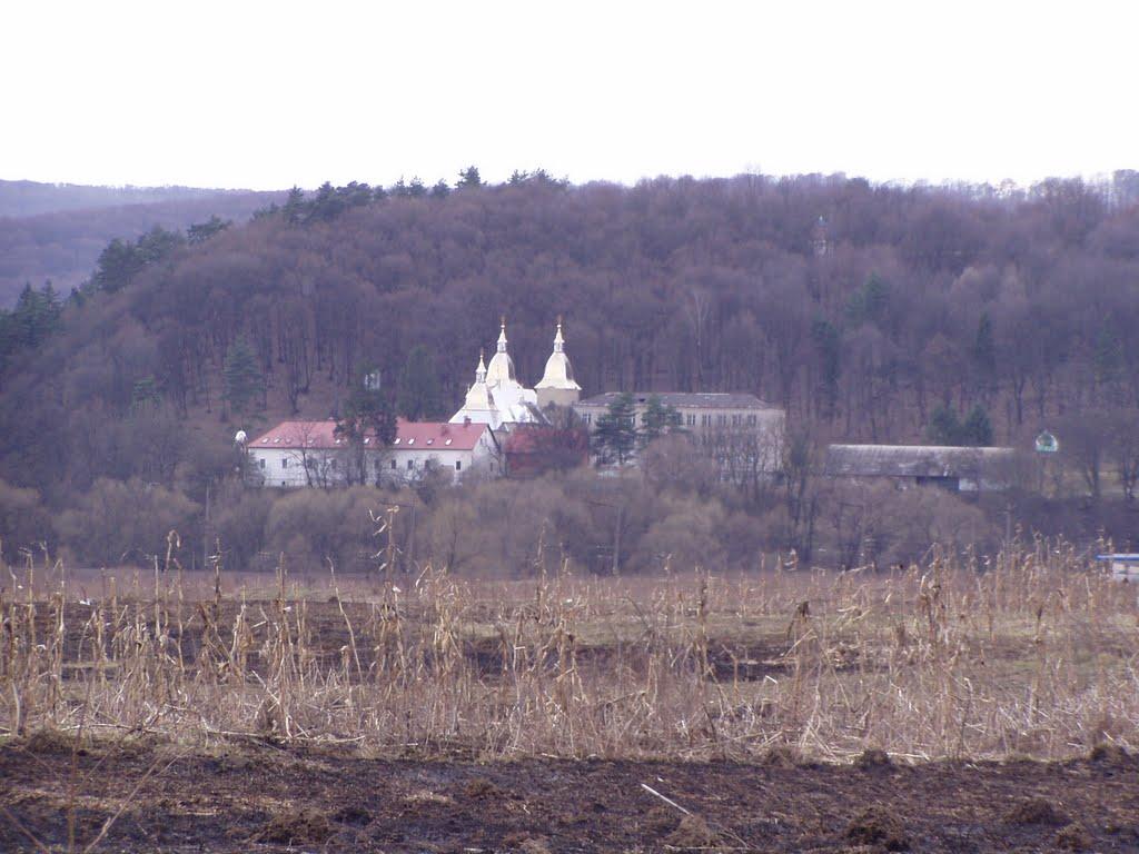 Малий Березний з panoramio.com - Малый Березный
