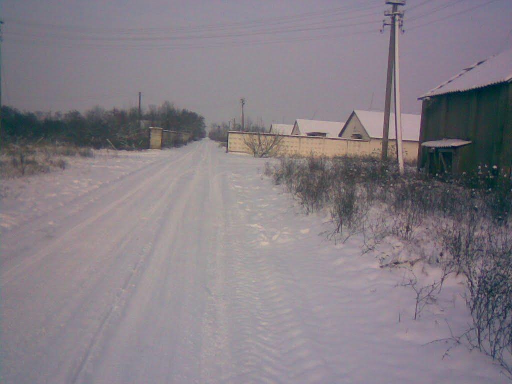 Ботар з panoramio.com - Ботар