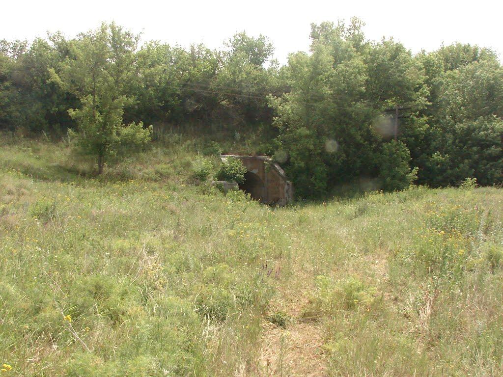 Рози Люксенбург з panoramio.com - Новое Шахово