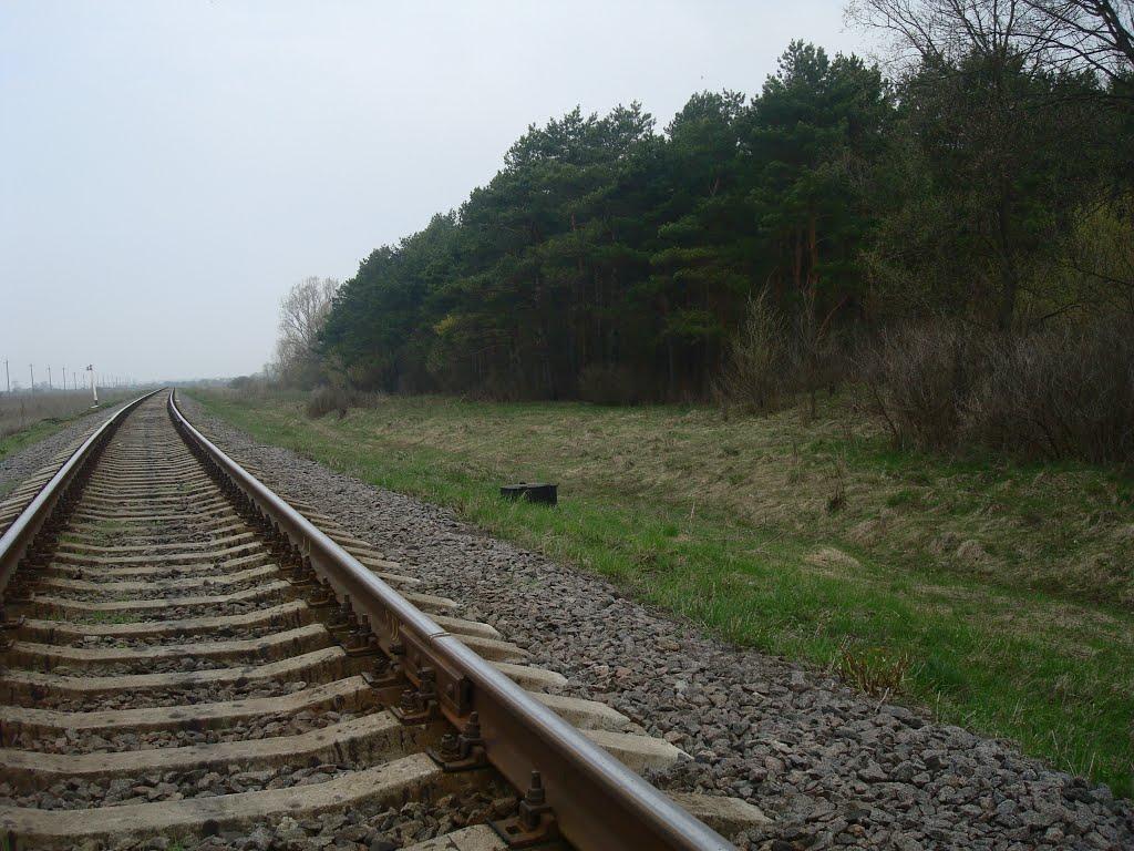 Оріхівка з panoramio.com - Ореховка
