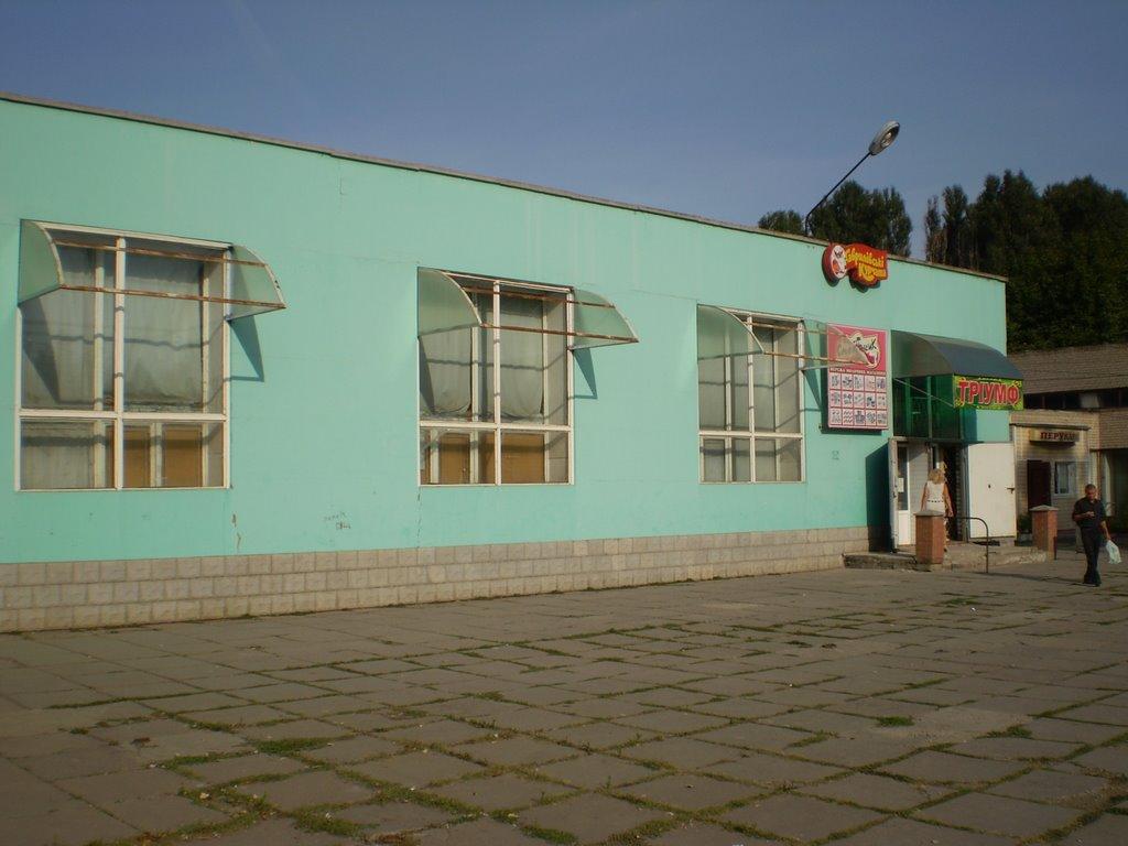 Кам'яне Поле з panoramio.com - Kamyane Pole