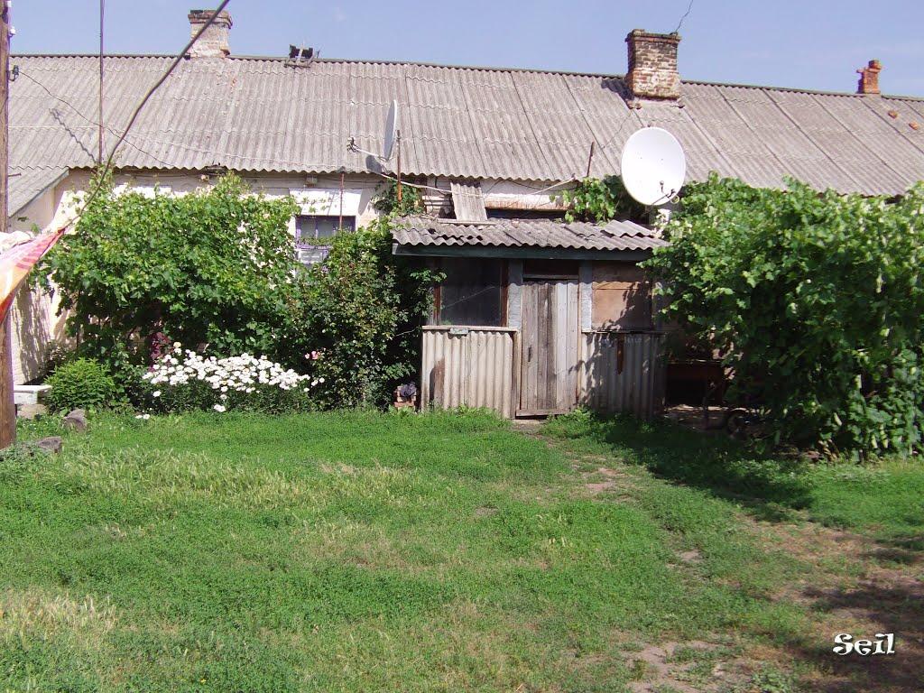 Покровське з panoramio.com - Покровське