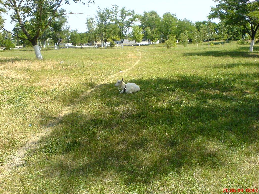 Талаківка з panoramio.com - Талаківка