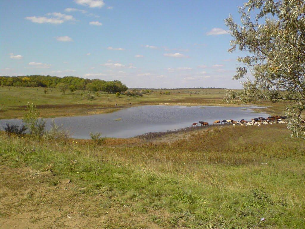 Чаус з panoramio.com - Чаус