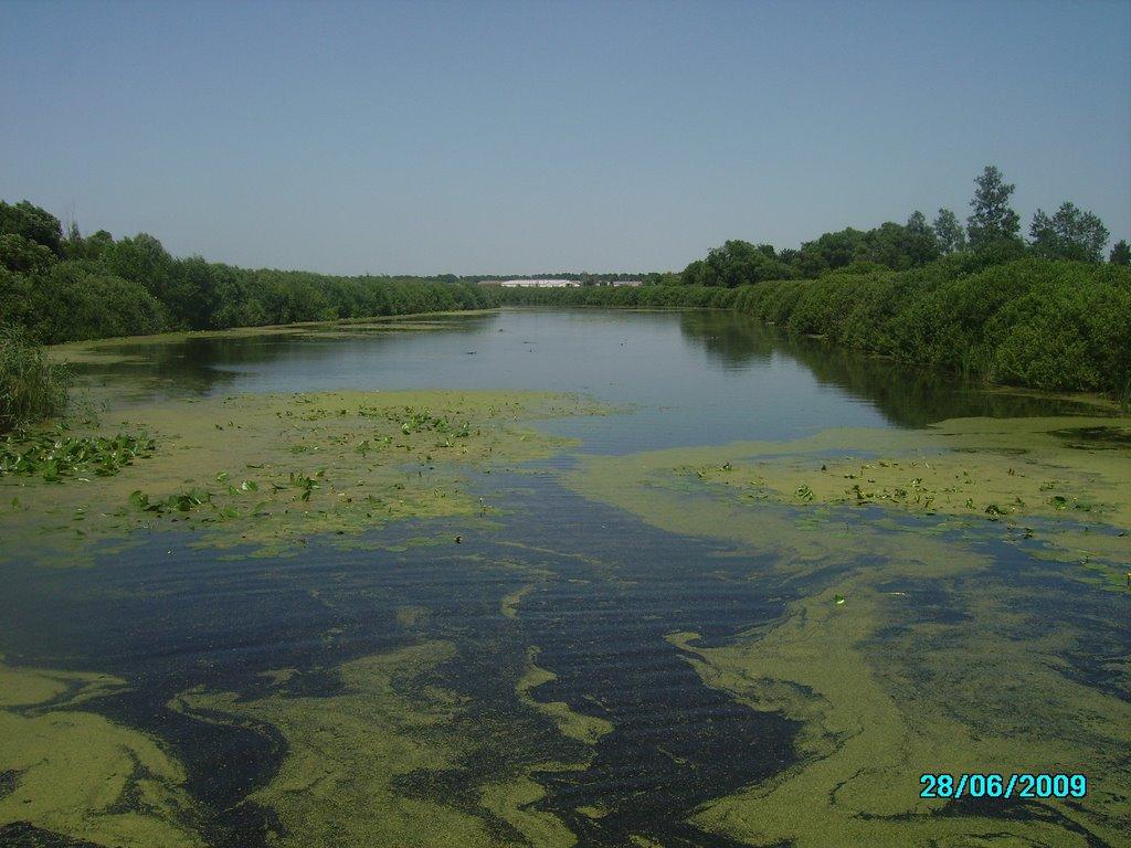 Дубовий Гай з panoramio.com - Дубовый Гай