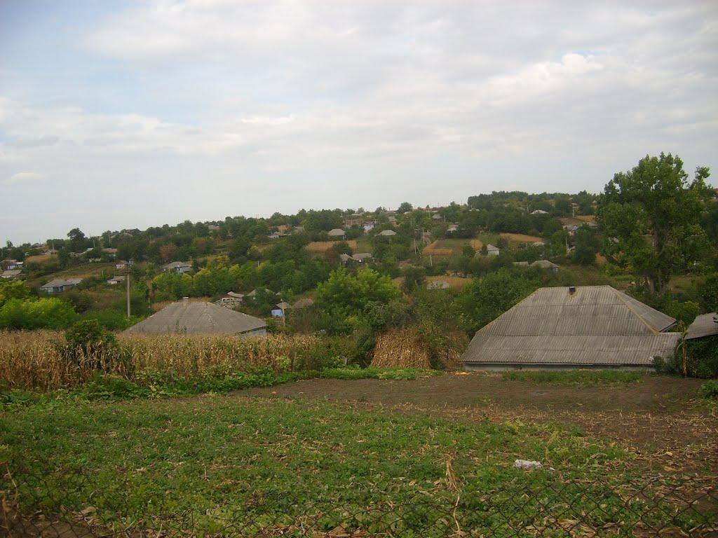 Федосіївка з panoramio.com - Федосеевка