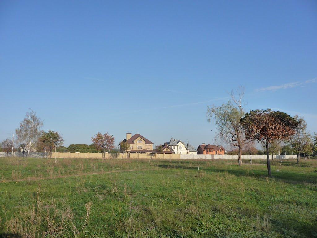 Бабаї з panoramio.com - Babayi