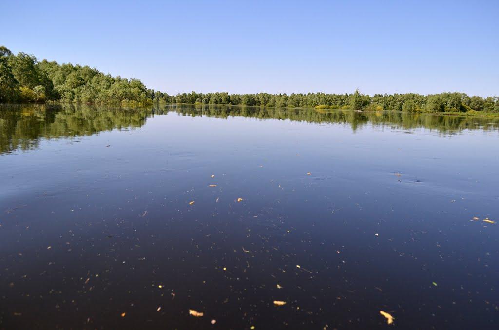 Нові Млини з panoramio.com - Нові Млини