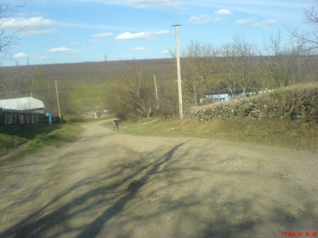 Кулішівка з panoramio.com - Kulishivka