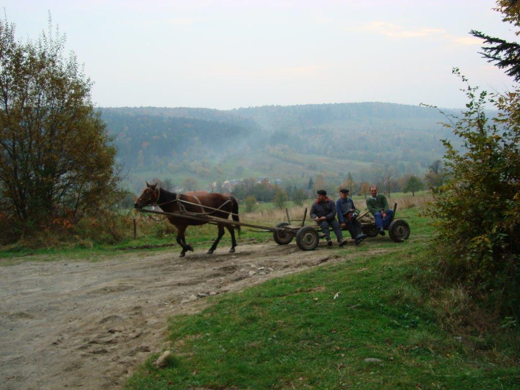 Товмачик з panoramio.com - Товмачик