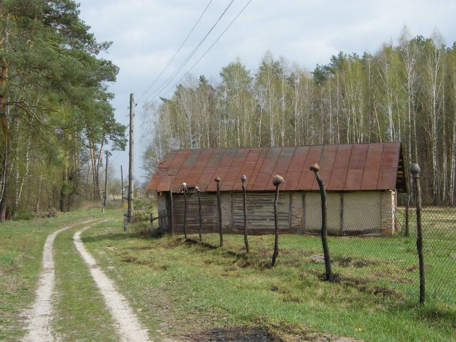 Шабалинів з panoramio.com - Шабалинів