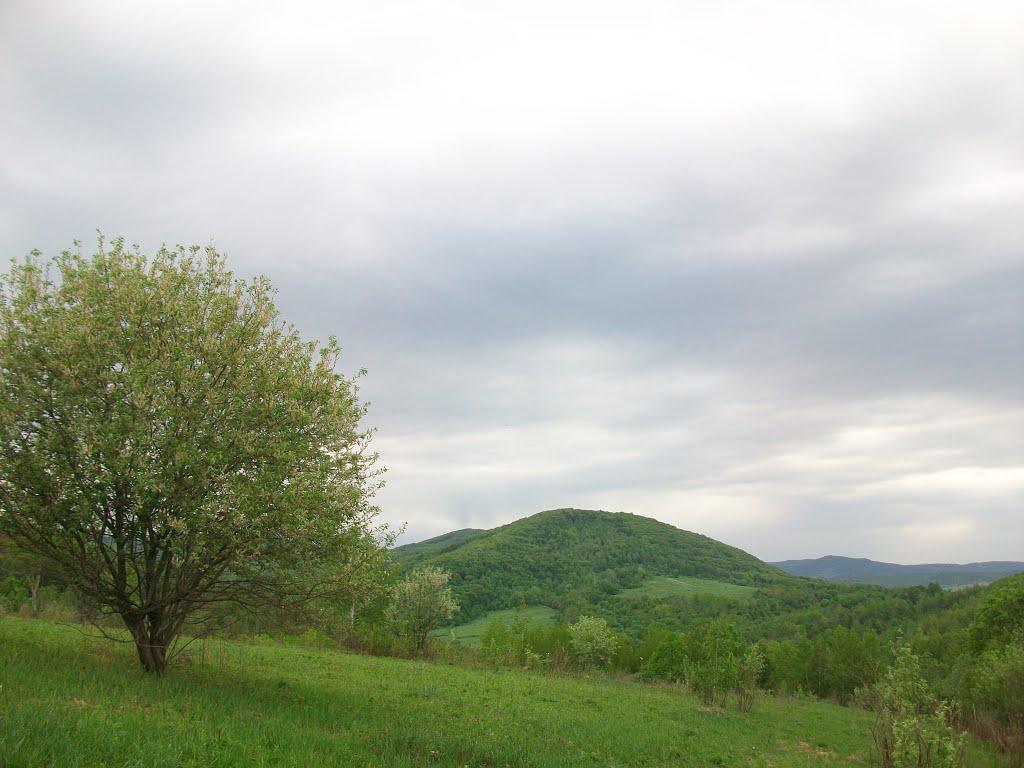 Солотвин з panoramio.com - Солотвин