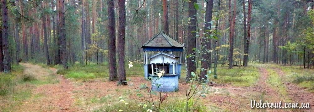 Селезівка з panoramio.com