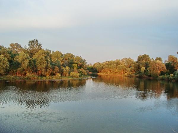 Нові Млини з panoramio.com - Новые Млины