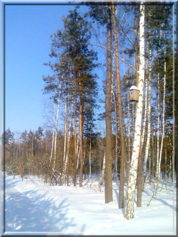Кушкине з panoramio.com - Кушкино