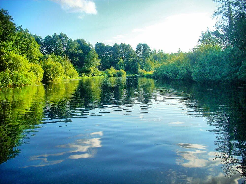 Марушівка з panoramio.com - Марушівка