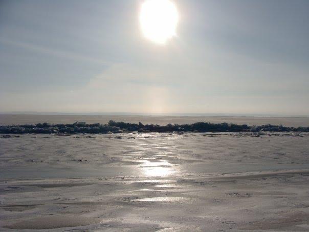 Максимівка з panoramio.com - Максимівка