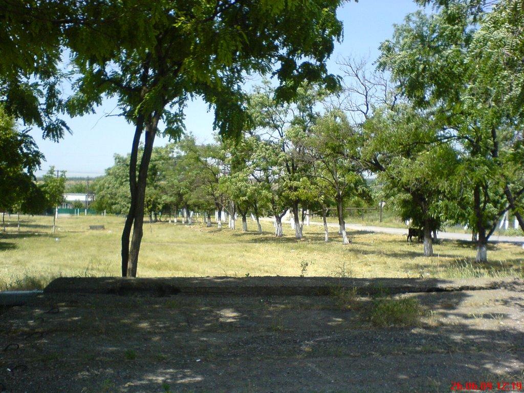 Талаківка з panoramio.com - Талаківка