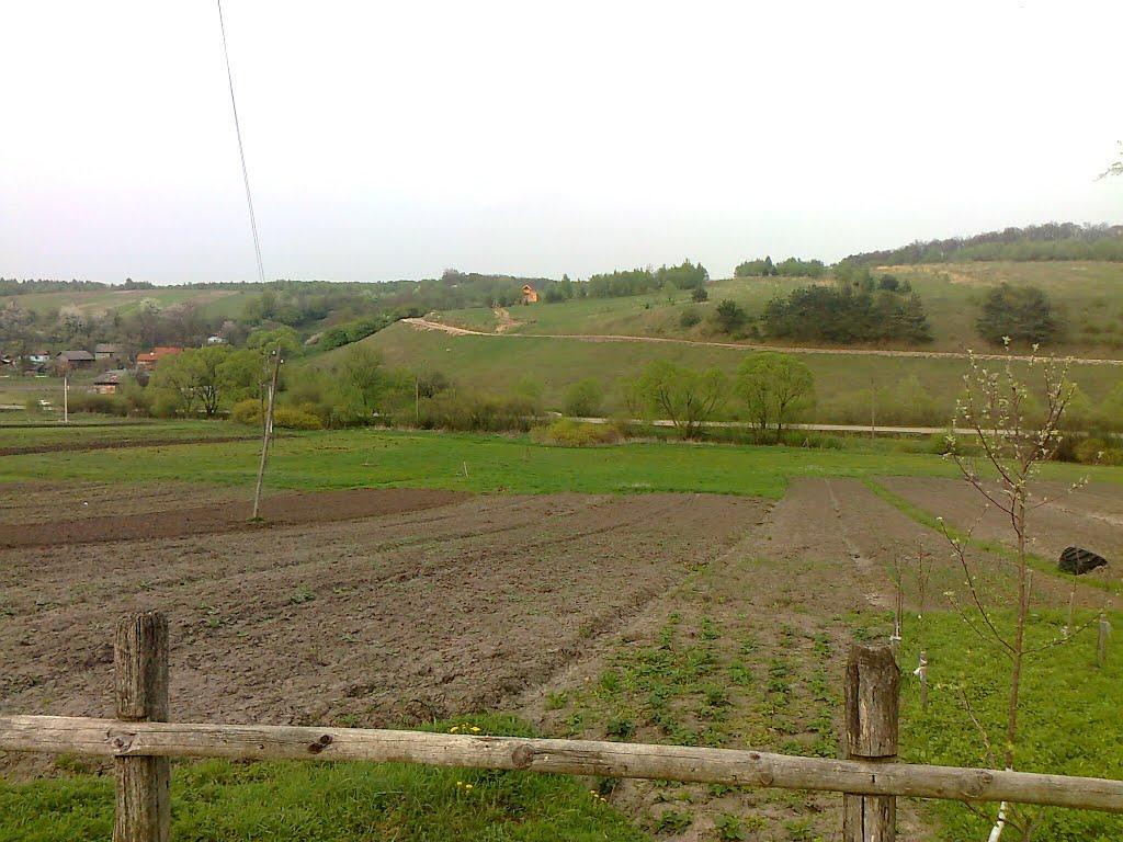 Лопушна з panoramio.com - Лопушна