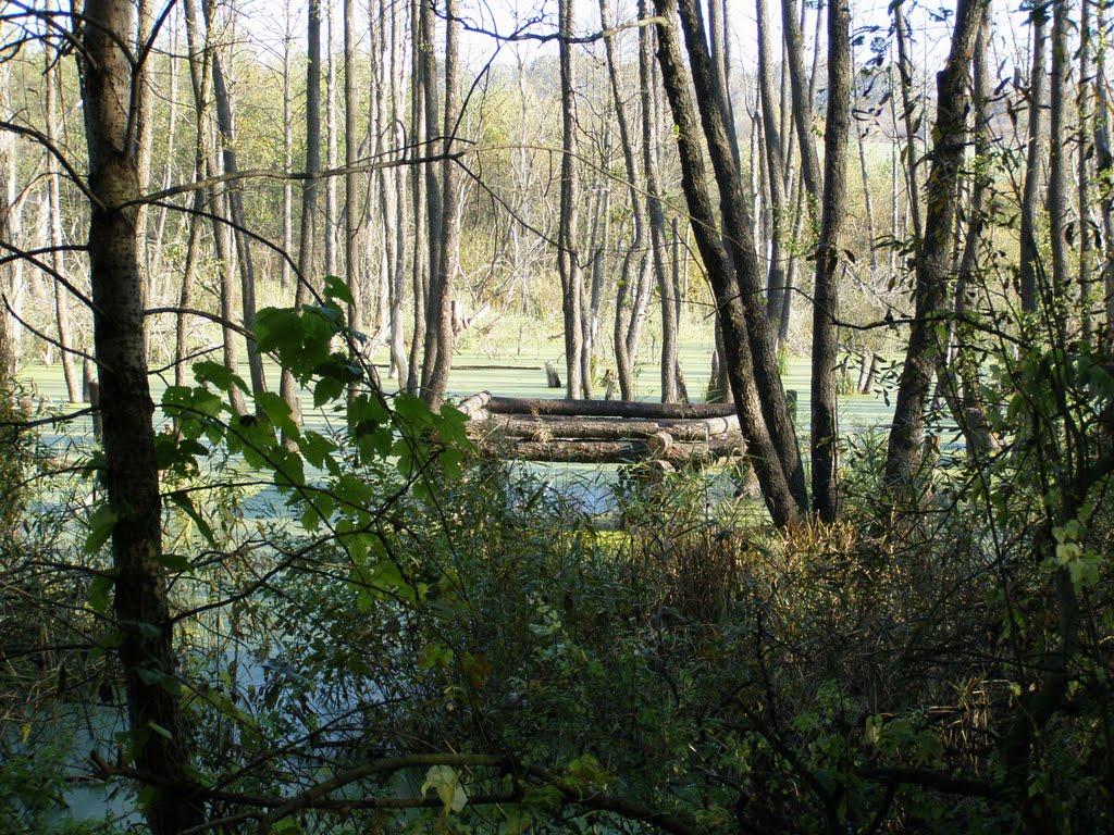 Люботин з panoramio.com (ч.2) - Люботин