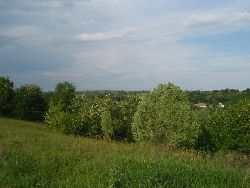 Срібне з panoramio.com - Сребное