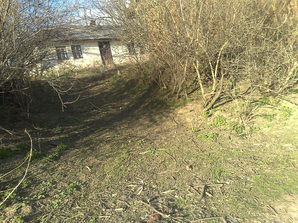 Велика Плавуча з panoramio.com - Велика Плавуча