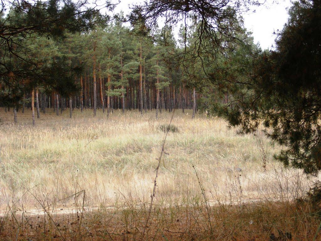 Саги з panoramio.com - Саги