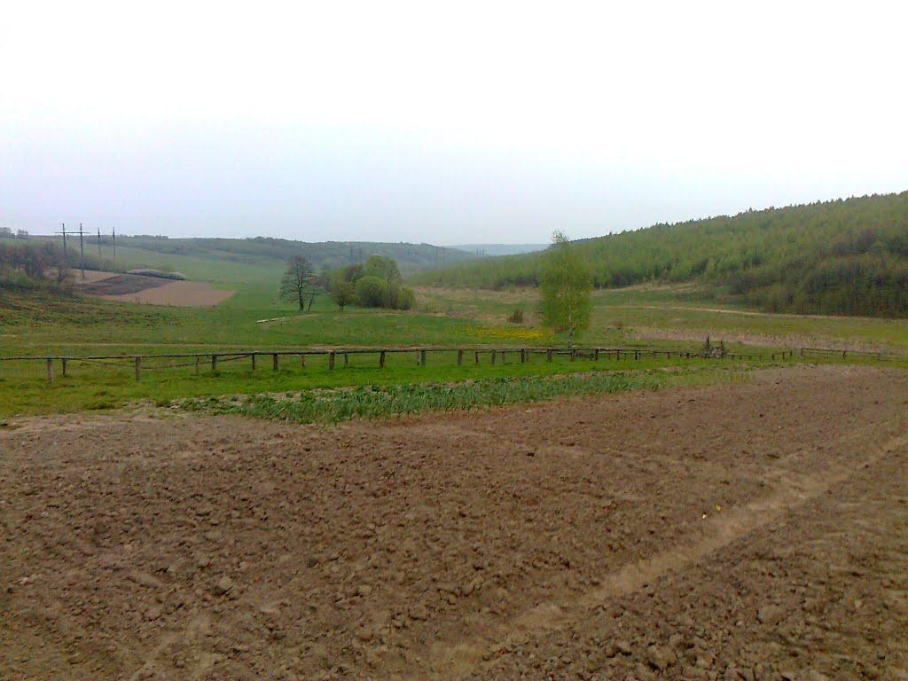 Селисько з panoramio.com - Селиско