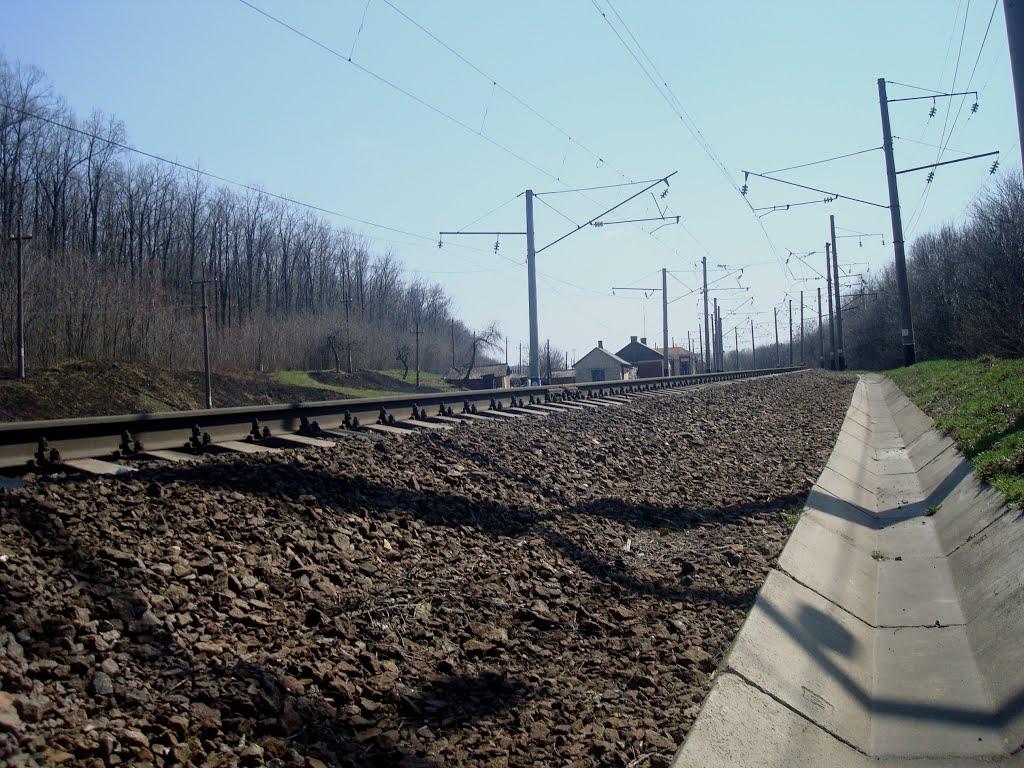 Чапаєвка з panoramio.com - Малые Коростовцы
