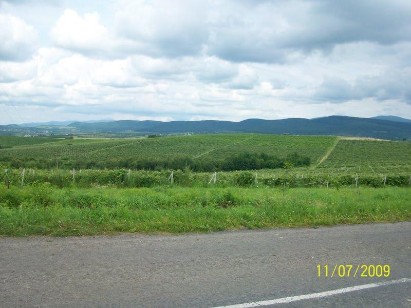 Завидово з panoramio.com - Завидово