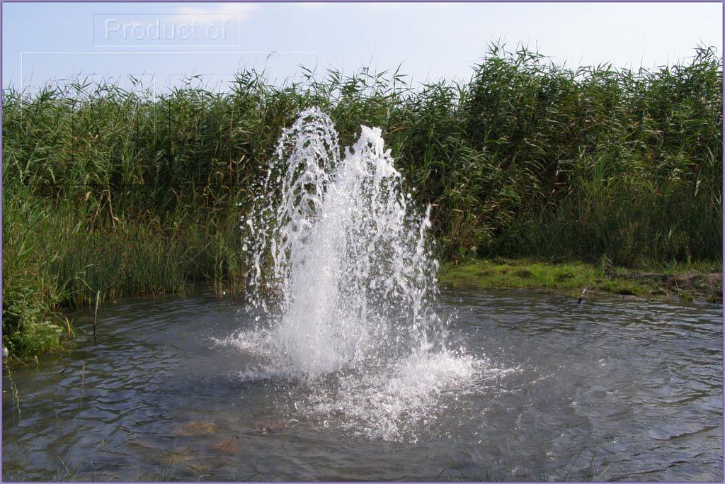 Максима Горького з panoramio.com - Максима Горького