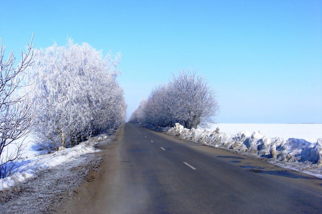 Сорокотяга з panoramio.com - Сорокотяга