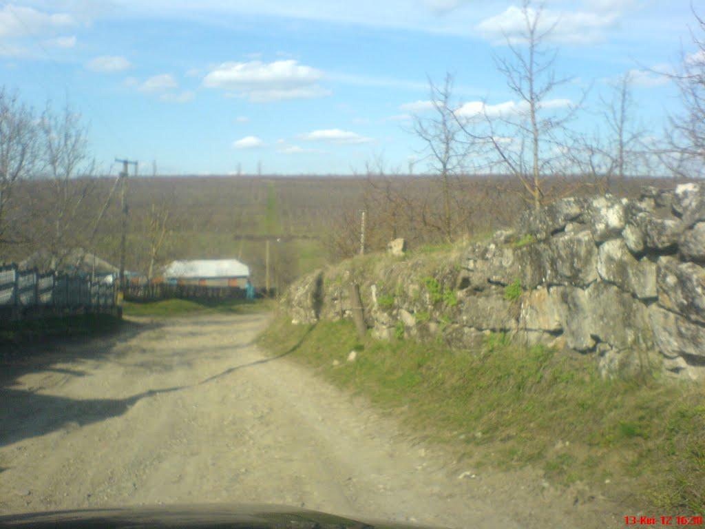 Кулішівка з panoramio.com - Кулешовка