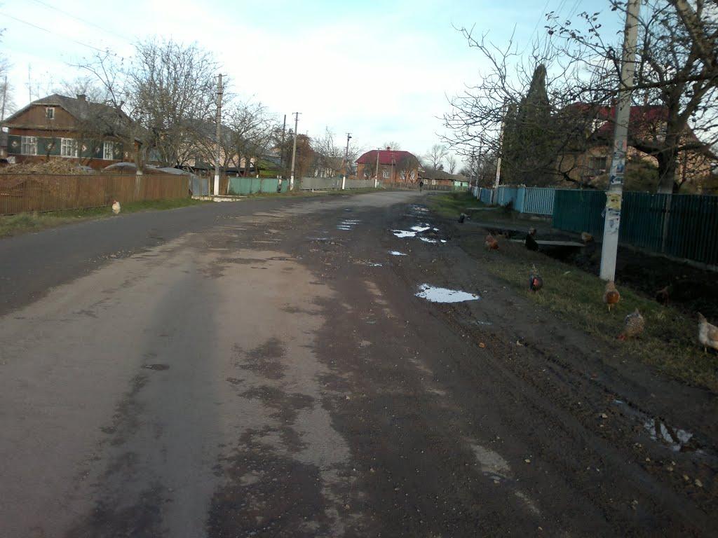 Бабина з panoramio.com - Babyna