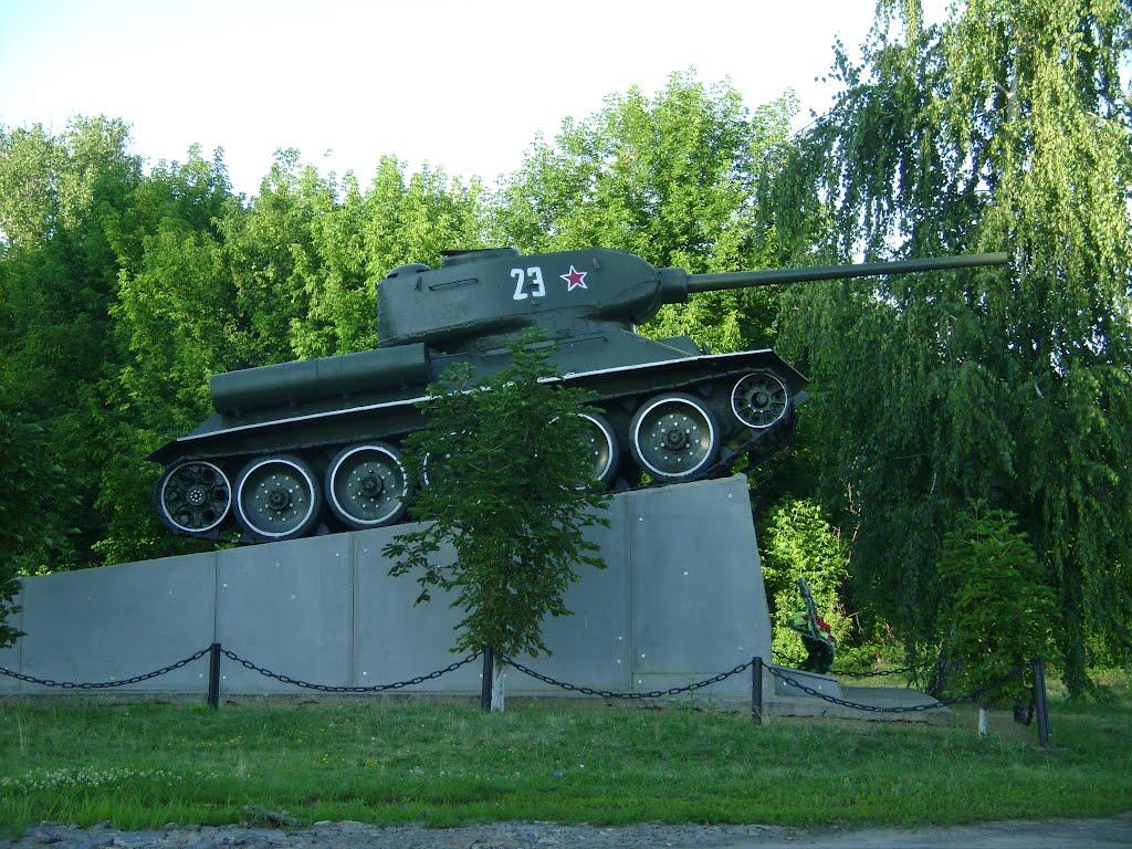 Довжик з panoramio.com - Довжик