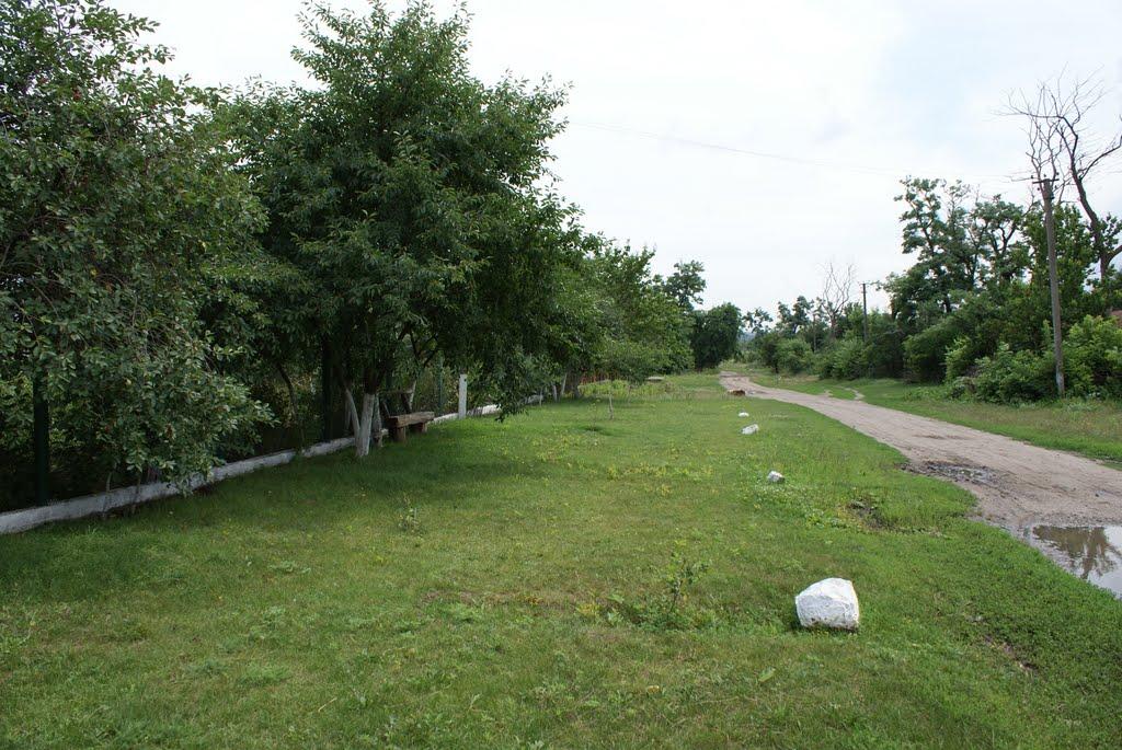 Чемерпіль з panoramio.com - Чемерполь