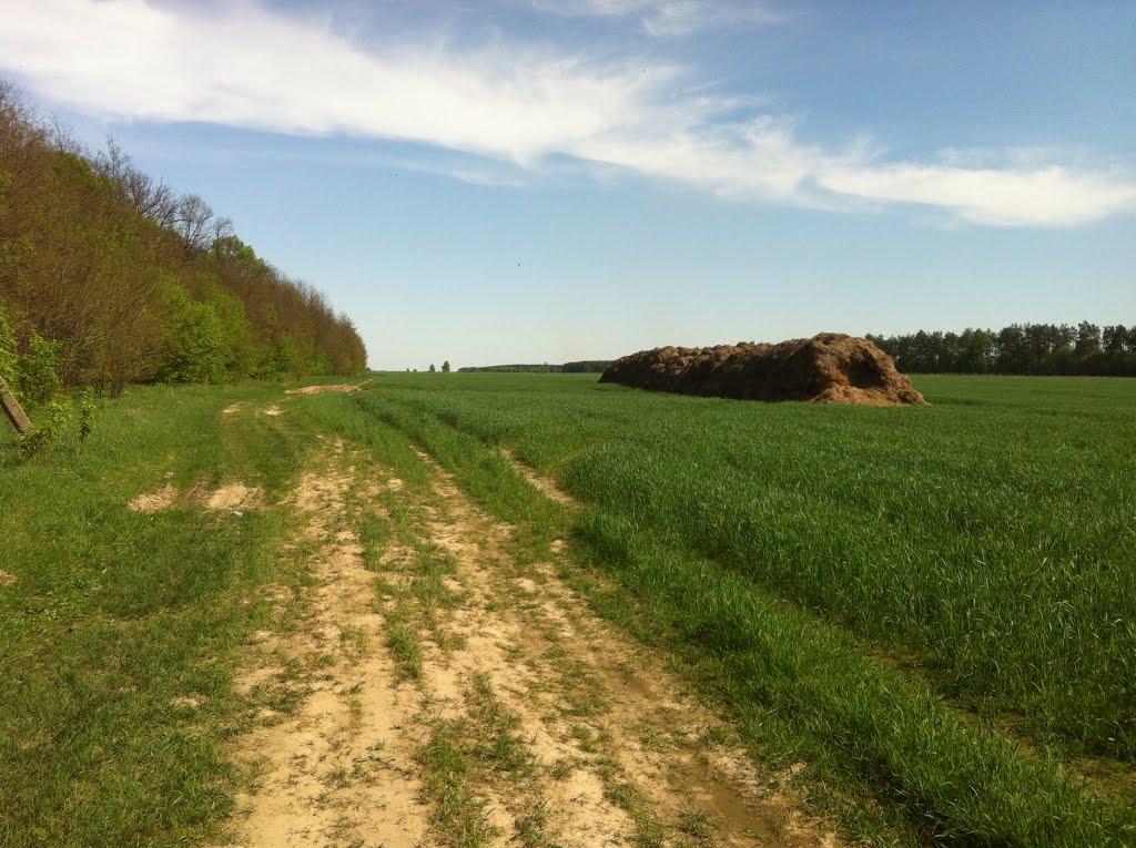 Хотуничі з panoramio.com - Хотуничі