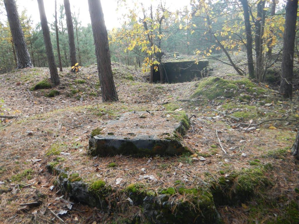 Тишиця з panoramio.com - Тишиця