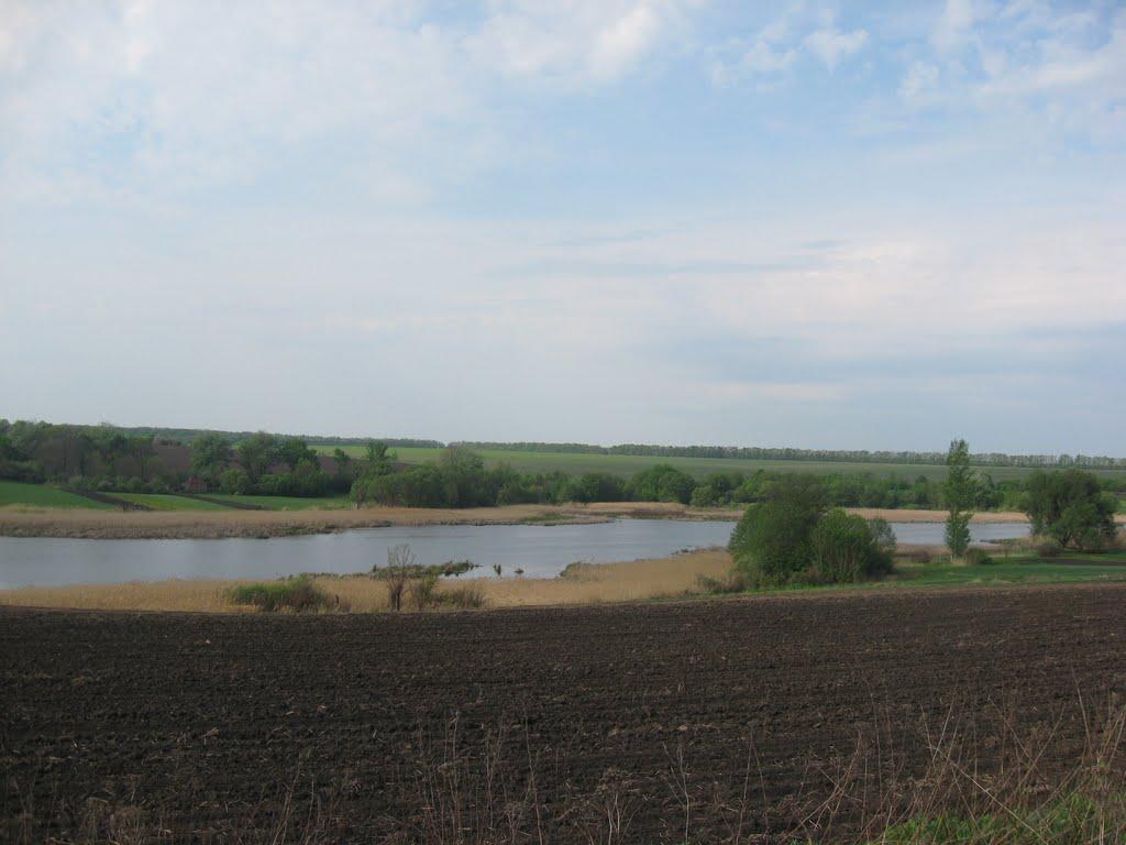 Мирошниківка з panoramio.com - Мирошниківка