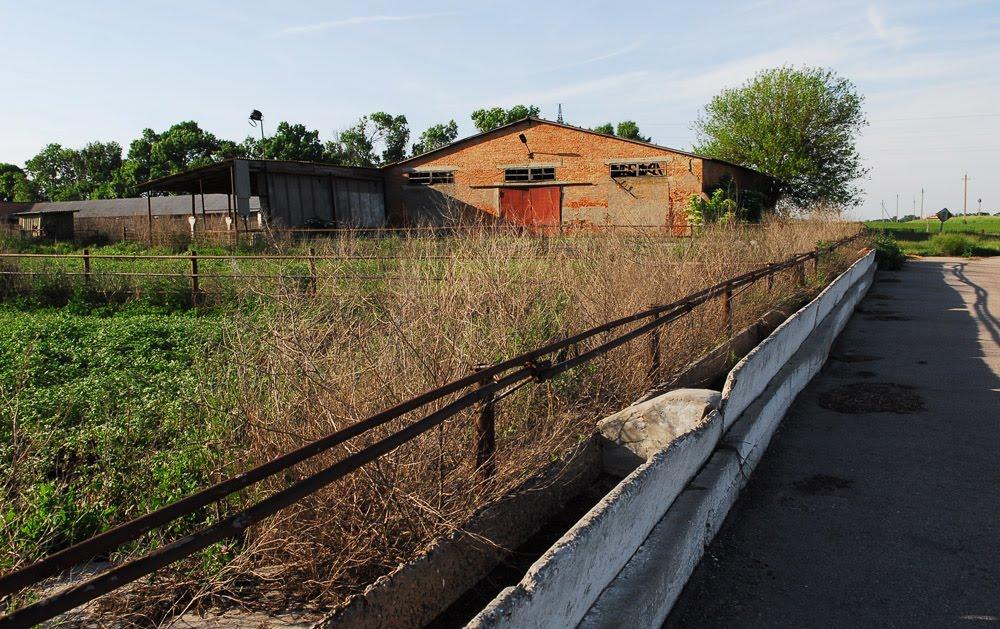 Сухоліси з panoramio.com - Sukholisy