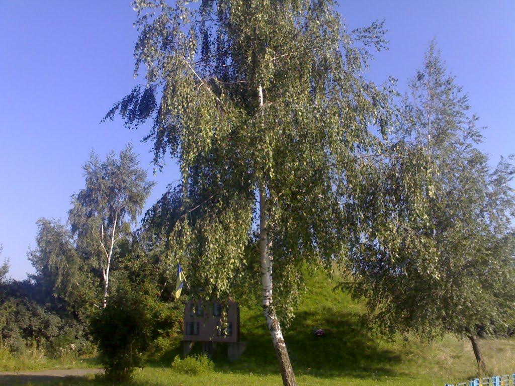 Вовчківці з panoramio.com - Вовчківці