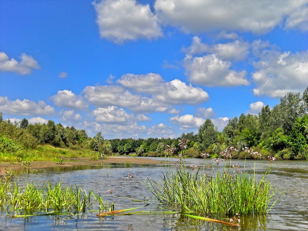 Нові Вирки з panoramio.com - Нові Вирки