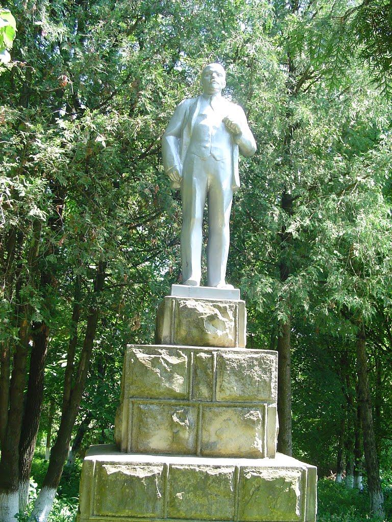 Петрашівка з panoramio.com - Петрашівка