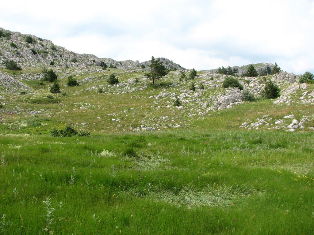 Запрудне з panoramio.com - Запрудне