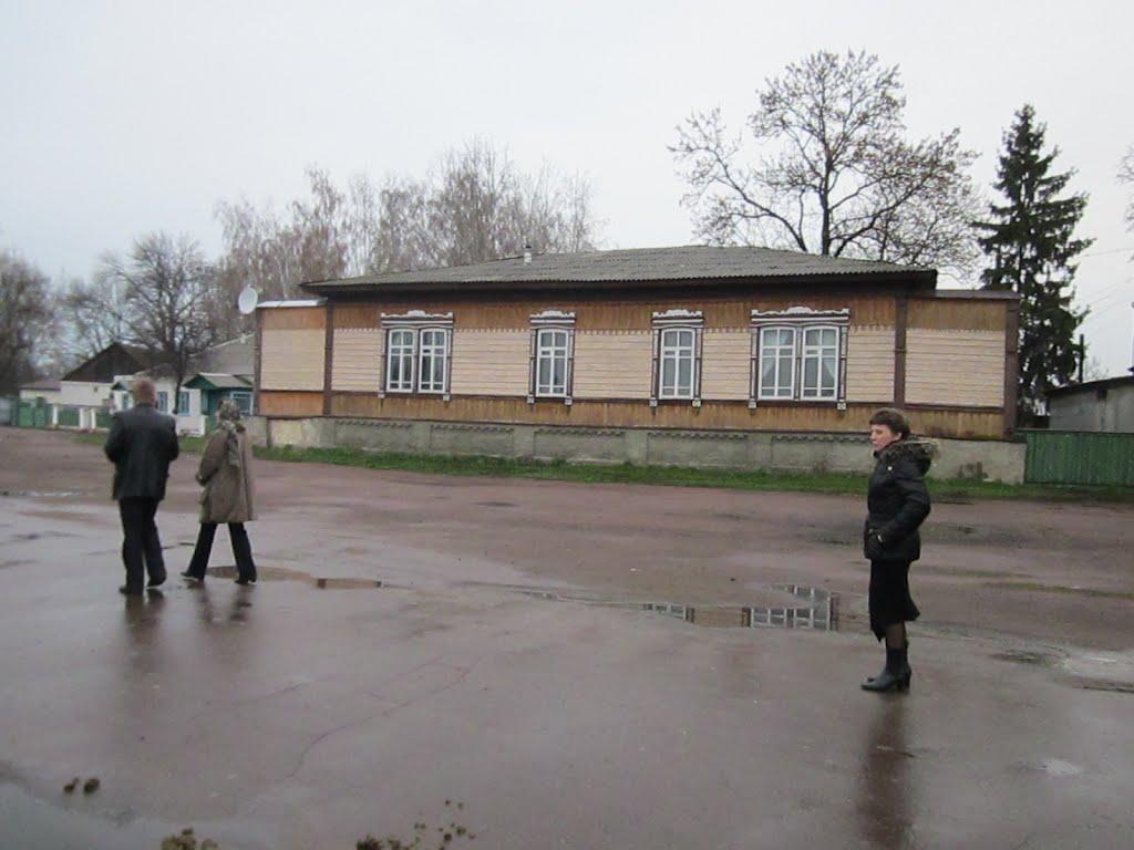 Нові Млини з panoramio.com - Нові Млини