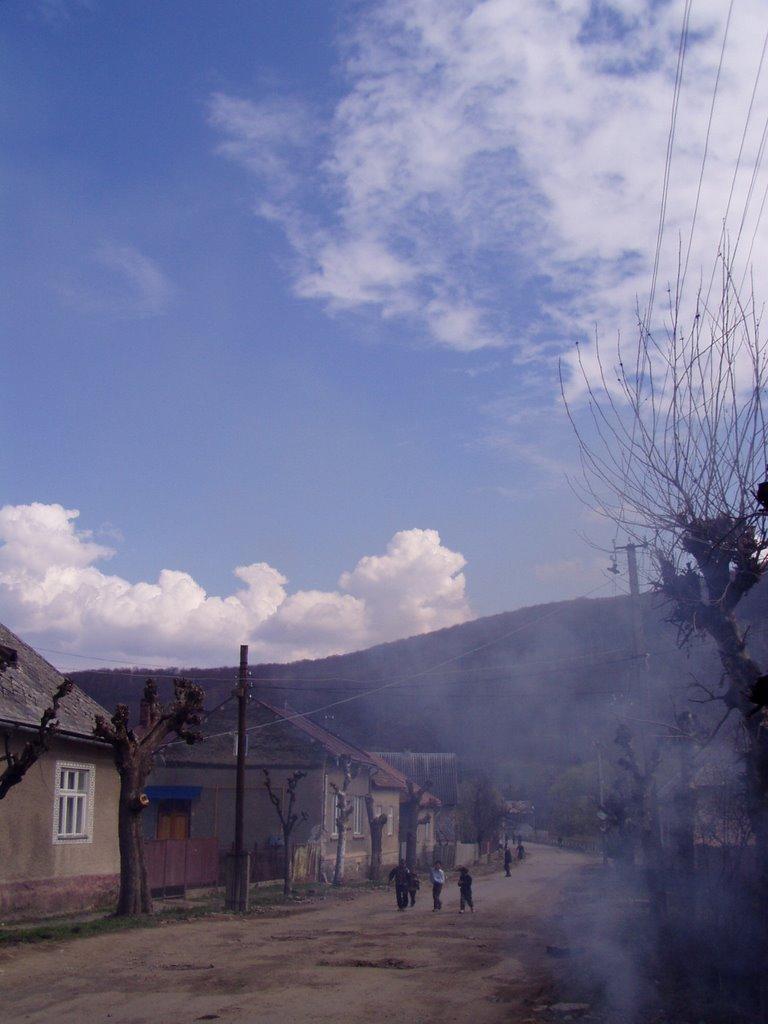 Великий Березний з panoramio.com - Великий Березний