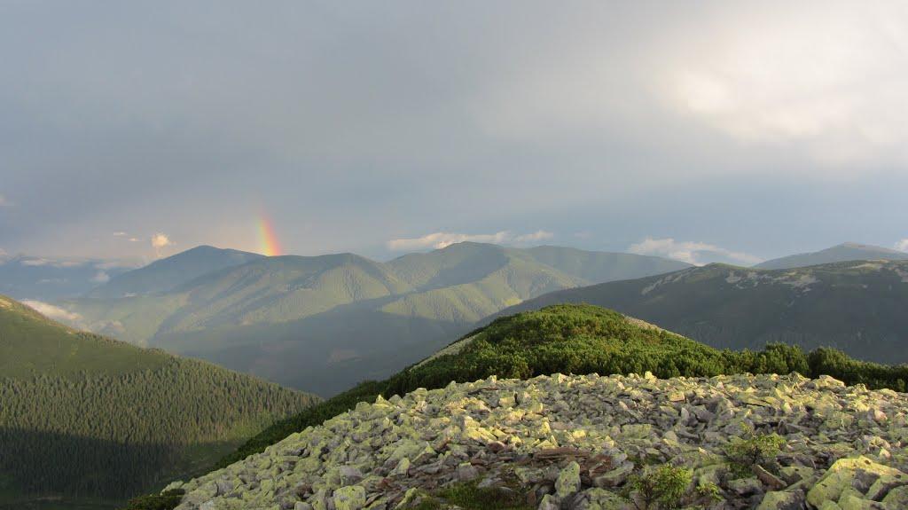 Осмолода з panoramio.com (ч.2) - Осмолода